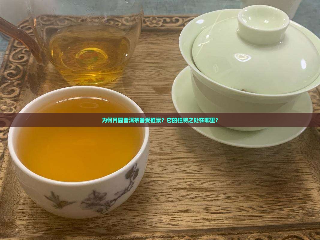 为何月圆普洱茶备受推崇？它的独特之处在哪里？