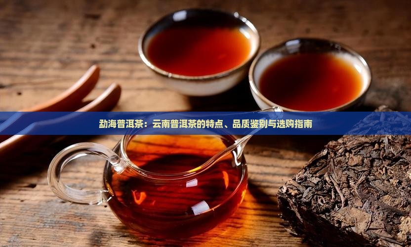 勐海普洱茶：云南普洱茶的特点、品质鉴别与选购指南