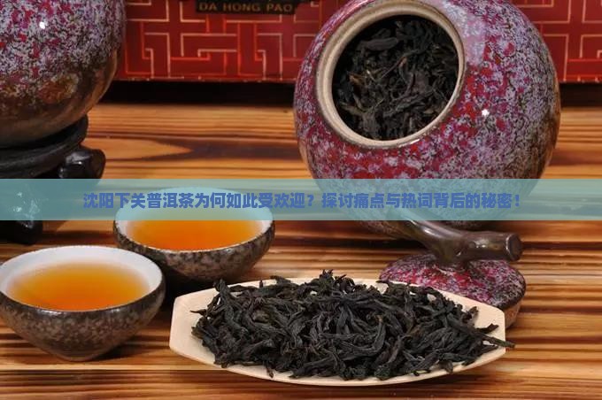 沈阳下关普洱茶为何如此受欢迎？探讨痛点与热词背后的秘密！