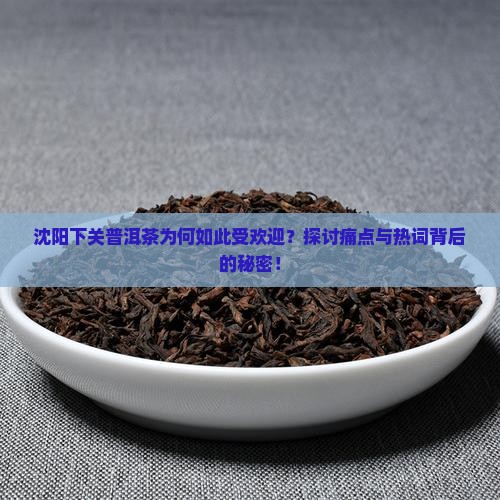 沈阳下关普洱茶为何如此受欢迎？探讨痛点与热词背后的秘密！