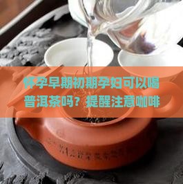 怀孕早期初期孕妇可以喝普洱茶吗？提醒注意咖啡因饮用量