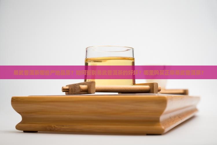 易武普洱茶哪些产地品质？如何鉴别易武普洱茶的好坏？哪里购买正宗易武普洱茶？
