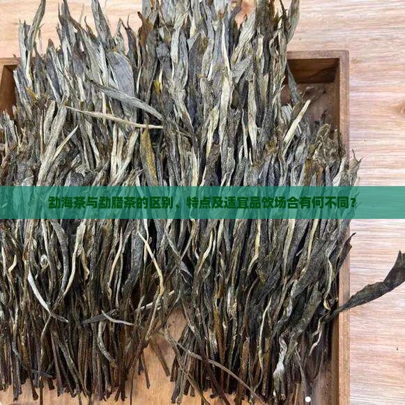 勐海茶与勐腊茶的区别、特点及适宜品饮场合有何不同？