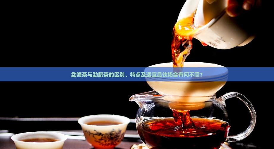 勐海茶与勐腊茶的区别、特点及适宜品饮场合有何不同？