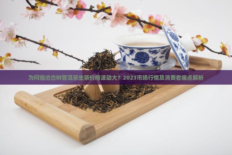 为何临沧古树普洱茶生茶价格波动大？2023市场行情及消费者痛点解析