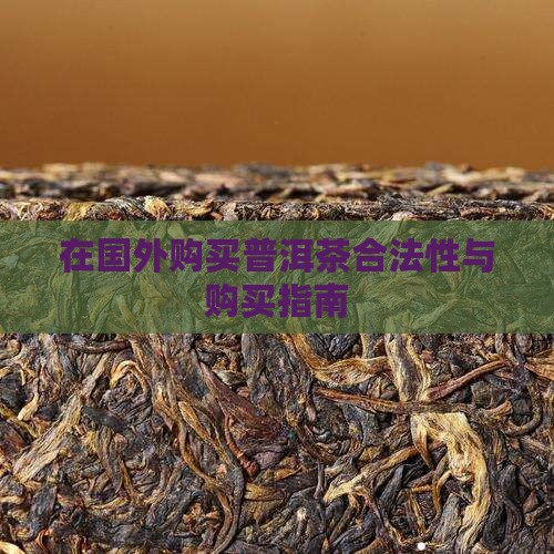 在国外购买普洱茶合法性与购买指南