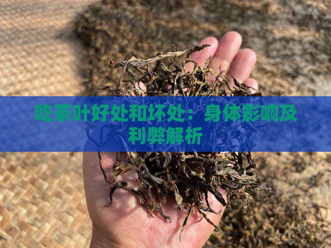 吃茶叶好处和坏处：身体影响及利弊解析