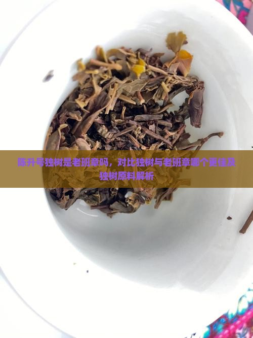 陈升号独树是老班章吗，对比独树与老班章哪个更佳及独树原料解析