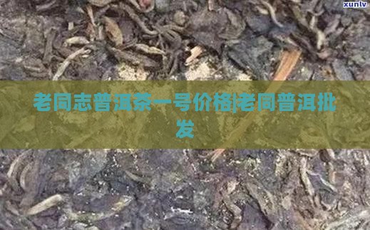 老同志普洱茶一号价格|老同普洱批发