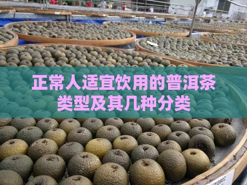 正常人适宜饮用的普洱茶类型及其几种分类