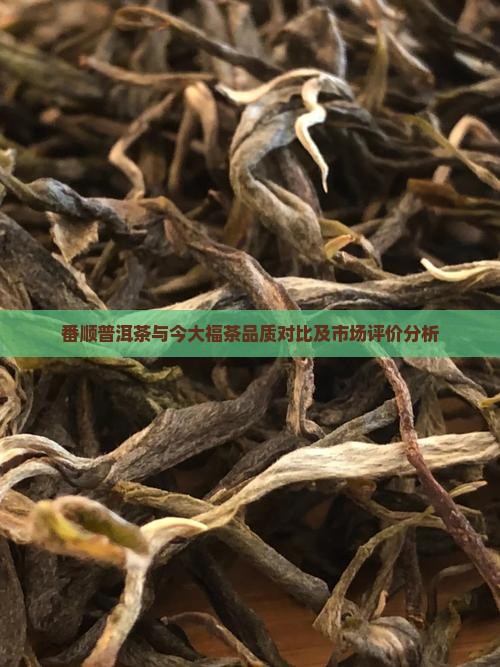 番顺普洱茶与今大福茶品质对比及市场评价分析