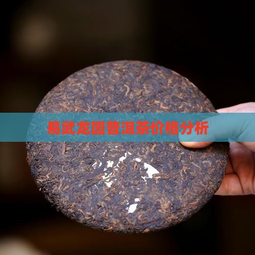 易武龙园普洱茶价格分析