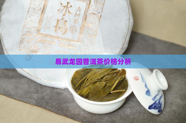 易武龙园普洱茶价格分析