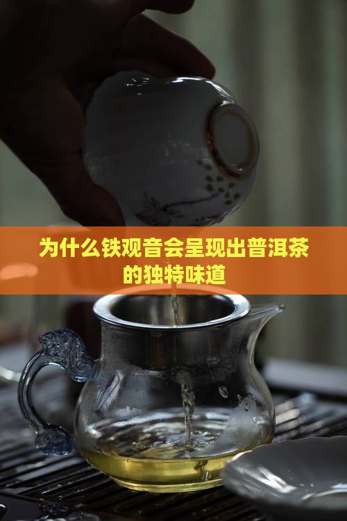 为什么铁观音会呈现出普洱茶的独特味道