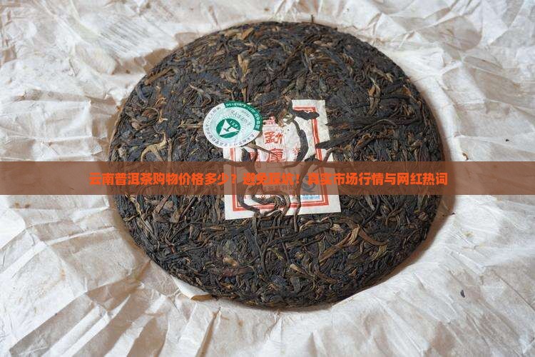 云南普洱茶购物价格多少？避免踩坑！真实市场行情与网红热词