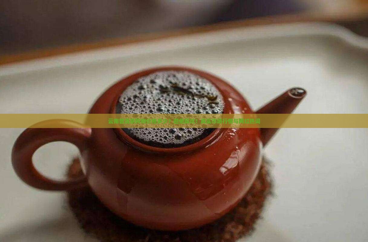 云南普洱茶购物价格多少？避免踩坑！真实市场行情与网红热词