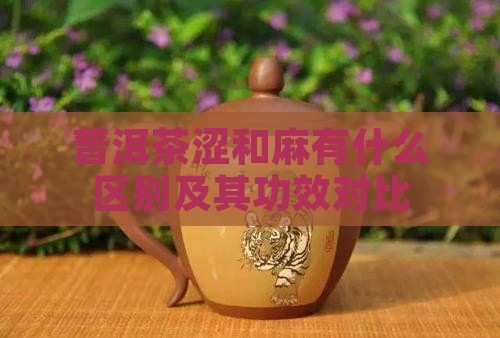 普洱茶涩和麻有什么区别及其功效对比