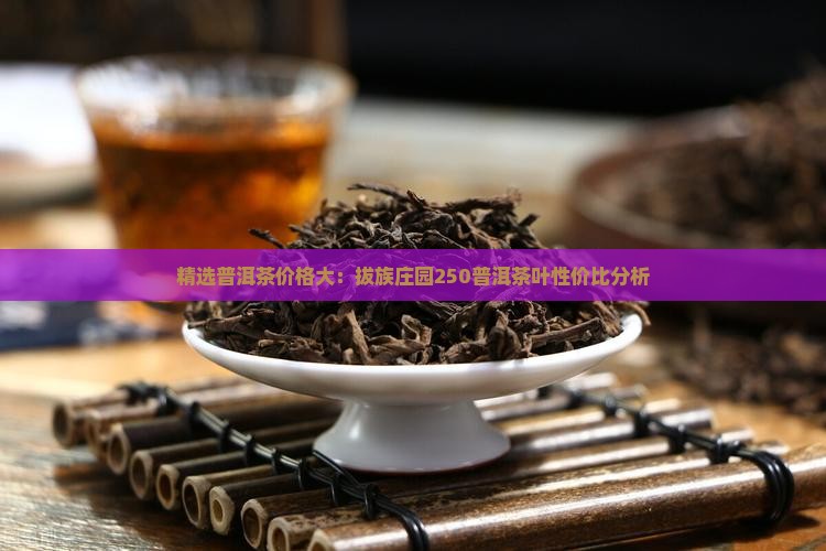 精选普洱茶价格大：拔族庄园250普洱茶叶性价比分析