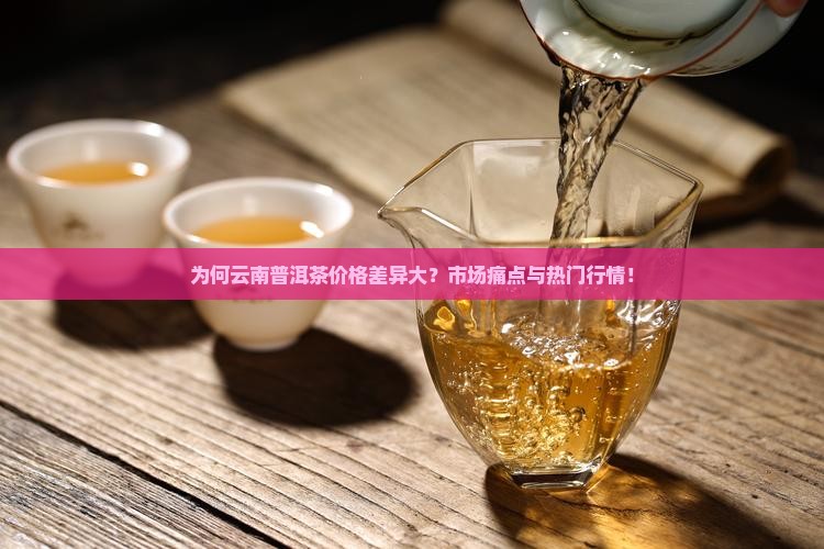 为何云南普洱茶价格差异大？市场痛点与热门行情！