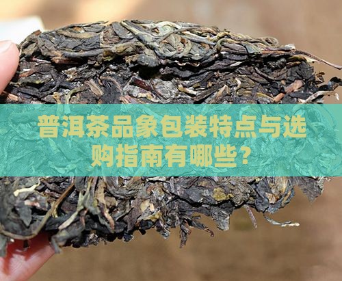 普洱茶品象包装特点与选购指南有哪些？