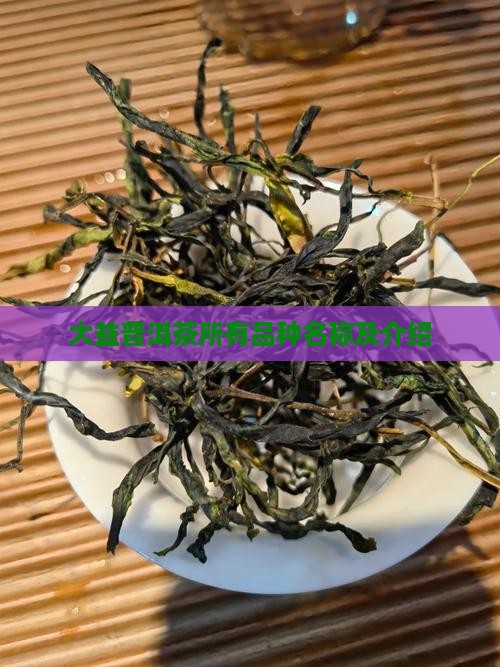 大益普洱茶所有品种名称及介绍