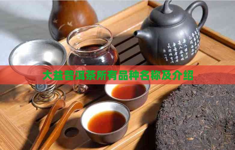大益普洱茶所有品种名称及介绍