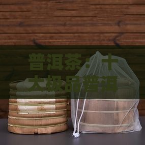 普洱茶：十大极品普洱茶是什么