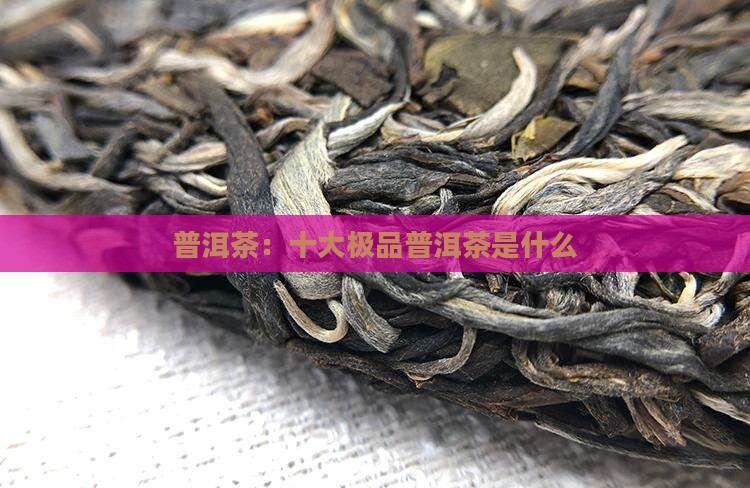 普洱茶：十大极品普洱茶是什么