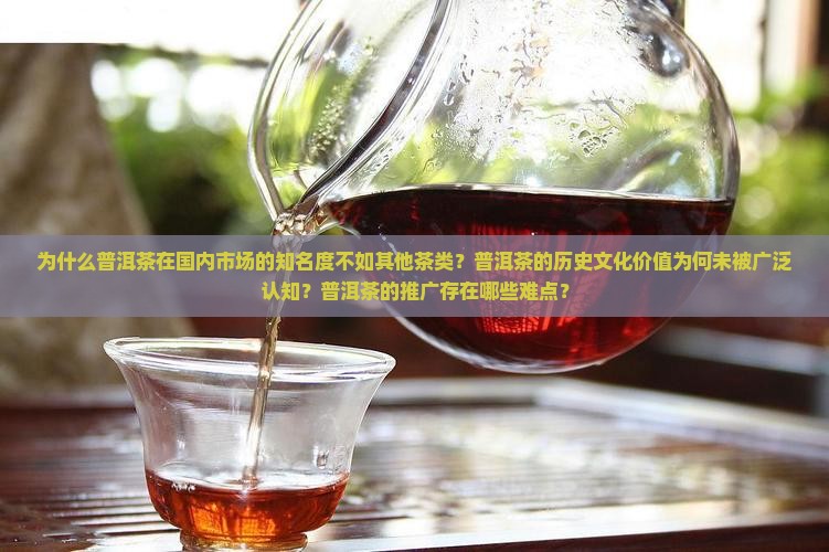 为什么普洱茶在国内市场的知名度不如其他茶类？普洱茶的历史文化价值为何未被广泛认知？普洱茶的推广存在哪些难点？