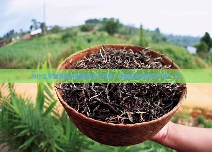 为什么买普洱茶饼送的罐子不好看？高颜值茶具神器了解一下！