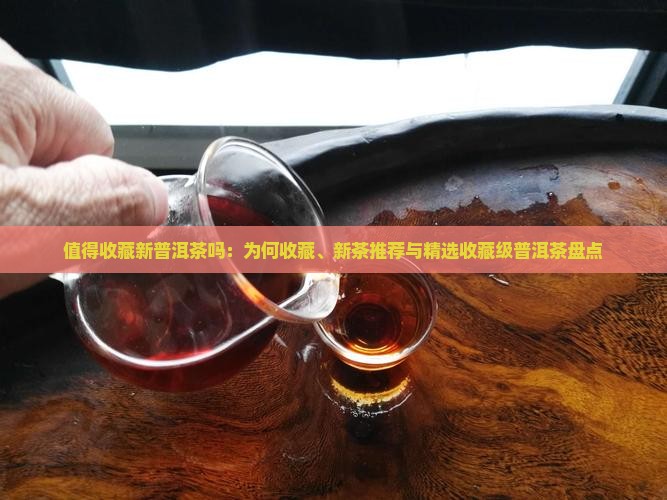 值得收藏新普洱茶吗：为何收藏、新茶推荐与精选收藏级普洱茶盘点