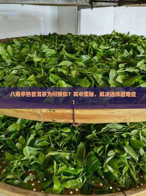 八角亭熟普洱茶为何报你？其中奥秘，解决选择困难症！