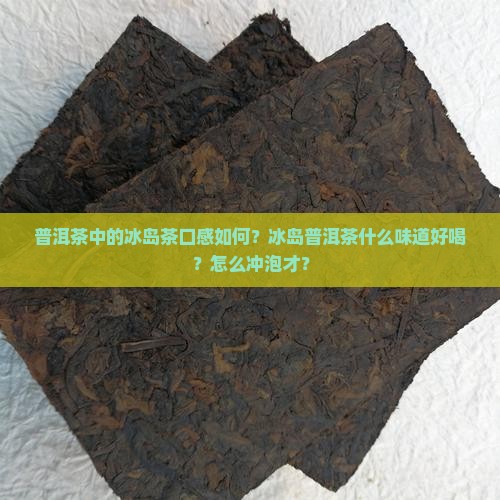 普洱茶中的冰岛茶口感如何？冰岛普洱茶什么味道好喝？怎么冲泡才？