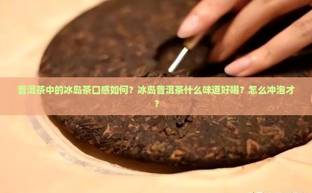 普洱茶中的冰岛茶口感如何？冰岛普洱茶什么味道好喝？怎么冲泡才？