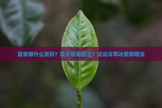 夏茶做什么茶好？夏天容易困乏？试试冷萃冰茶新喝法