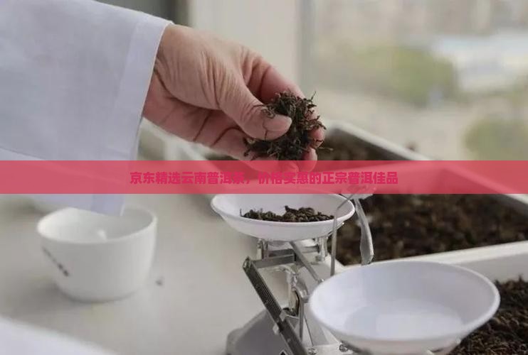 京东精选云南普洱茶，价格实惠的正宗普洱佳品