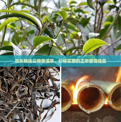 京东精选云南普洱茶，价格实惠的正宗普洱佳品