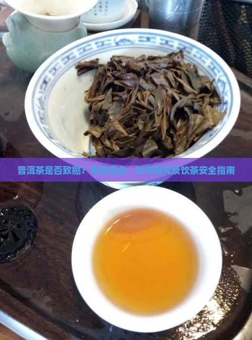 普洱茶是否致癌？专家观点、科学研究及饮茶安全指南