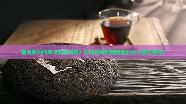 普洱茶为何成为养生新宠？它究竟有何独特魅力让人趋之若鹜？