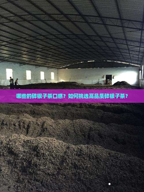 哪些的碎银子茶口感？如何挑选高品质碎银子茶？