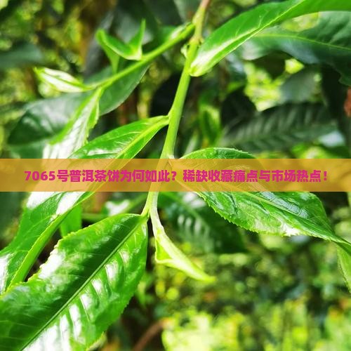 7065号普洱茶饼为何如此？稀缺收藏痛点与市场热点！