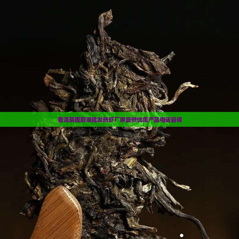 普洱茶提取液批发热虾厂家直供优质产品电话咨询