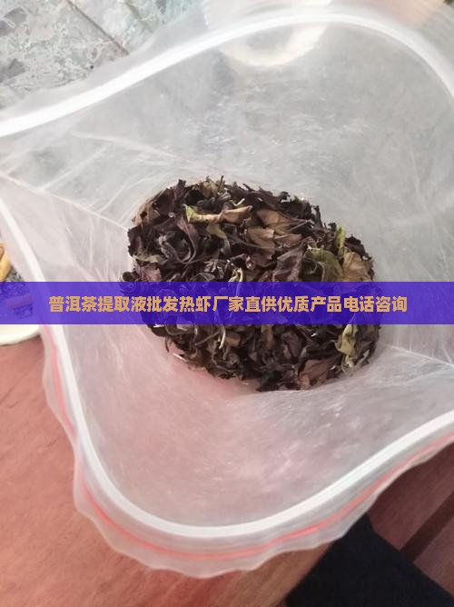 普洱茶提取液批发热虾厂家直供优质产品电话咨询