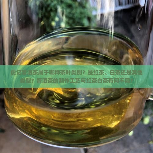 虎记普洱茶属于哪种茶叶类别？是红茶、白茶还是其他类型？普洱茶的制作工艺与红茶白茶有何不同？