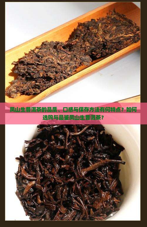 凤山生普洱茶的品质、口感与保存方法有何特点？如何选购与品鉴凤山生普洱茶？
