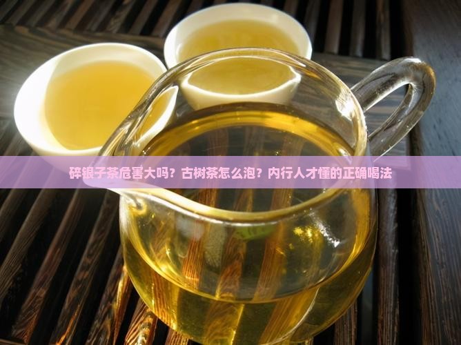 碎银子茶危害大吗？古树茶怎么泡？内行人才懂的正确喝法