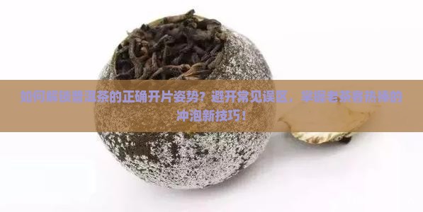 如何解锁普洱茶的正确开片姿势？避开常见误区，掌握老茶客热捧的冲泡新技巧！
