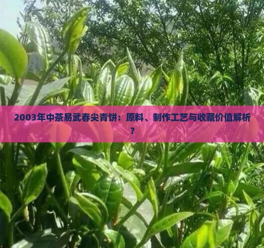 2003年中茶易武春尖青饼：原料、制作工艺与收藏价值解析？