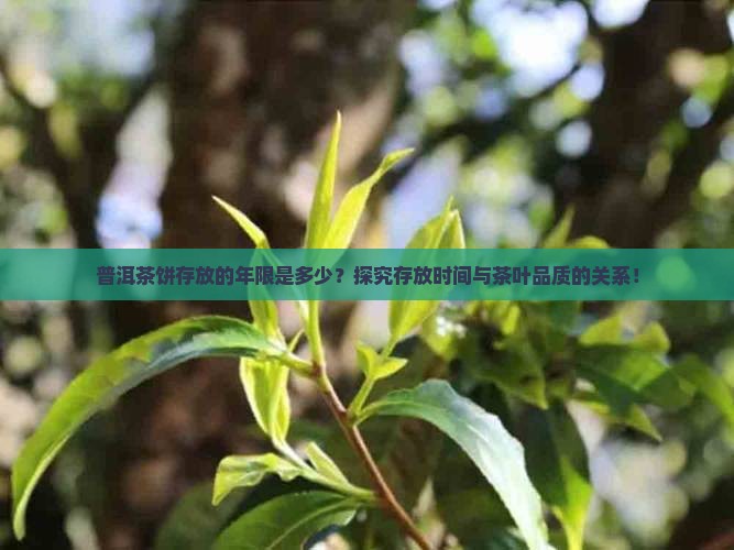 普洱茶饼存放的年限是多少？探究存放时间与茶叶品质的关系！