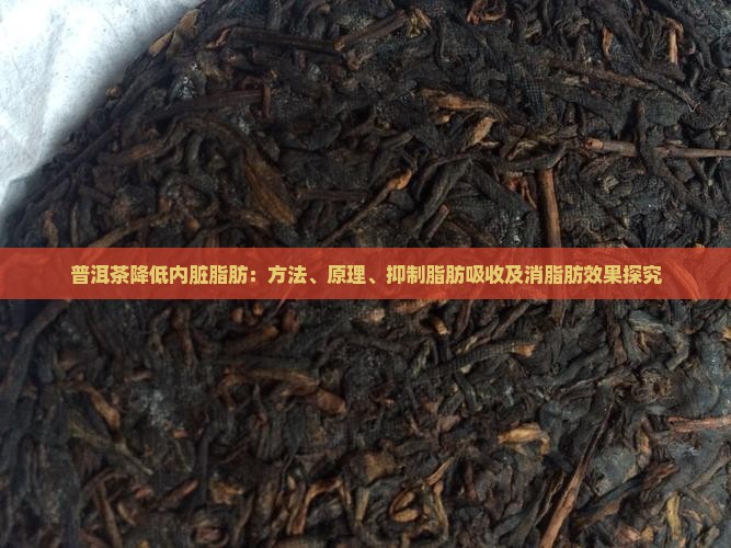 普洱茶降低内脏脂肪：方法、原理、抑制脂肪吸收及消脂肪效果探究